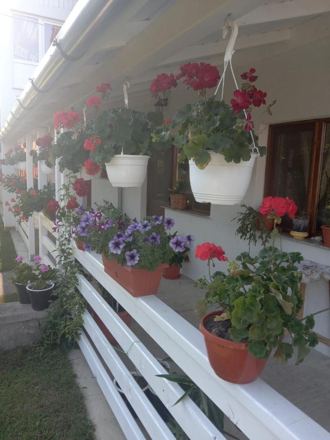 Cazare Turism Prislop Otel Haţeg Dış mekan fotoğraf