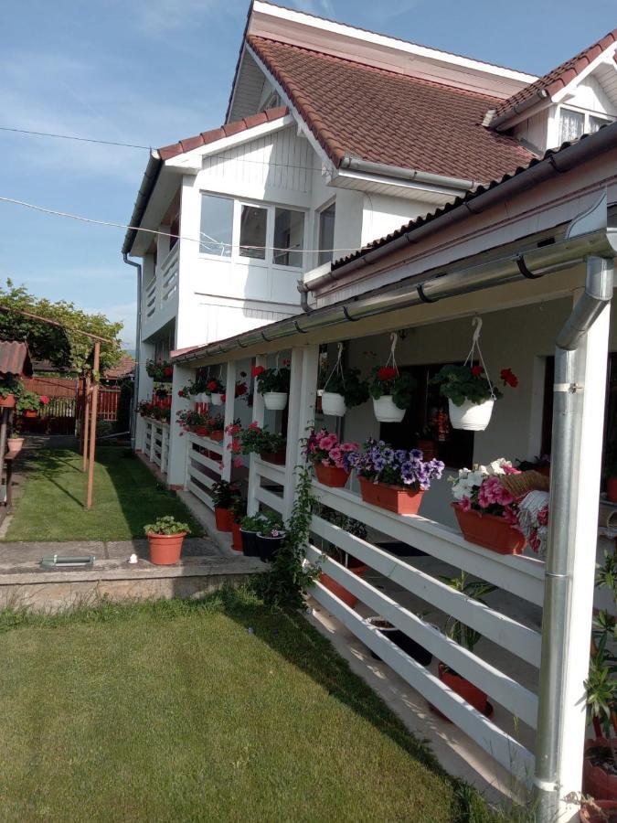 Cazare Turism Prislop Otel Haţeg Dış mekan fotoğraf